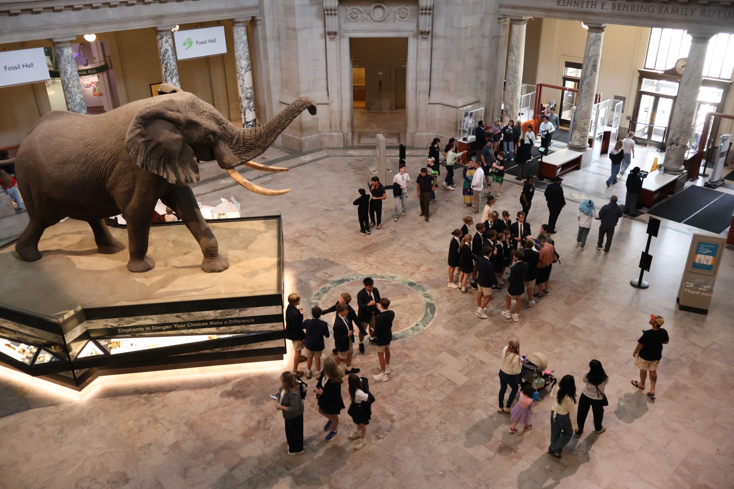Visitors in a Museum