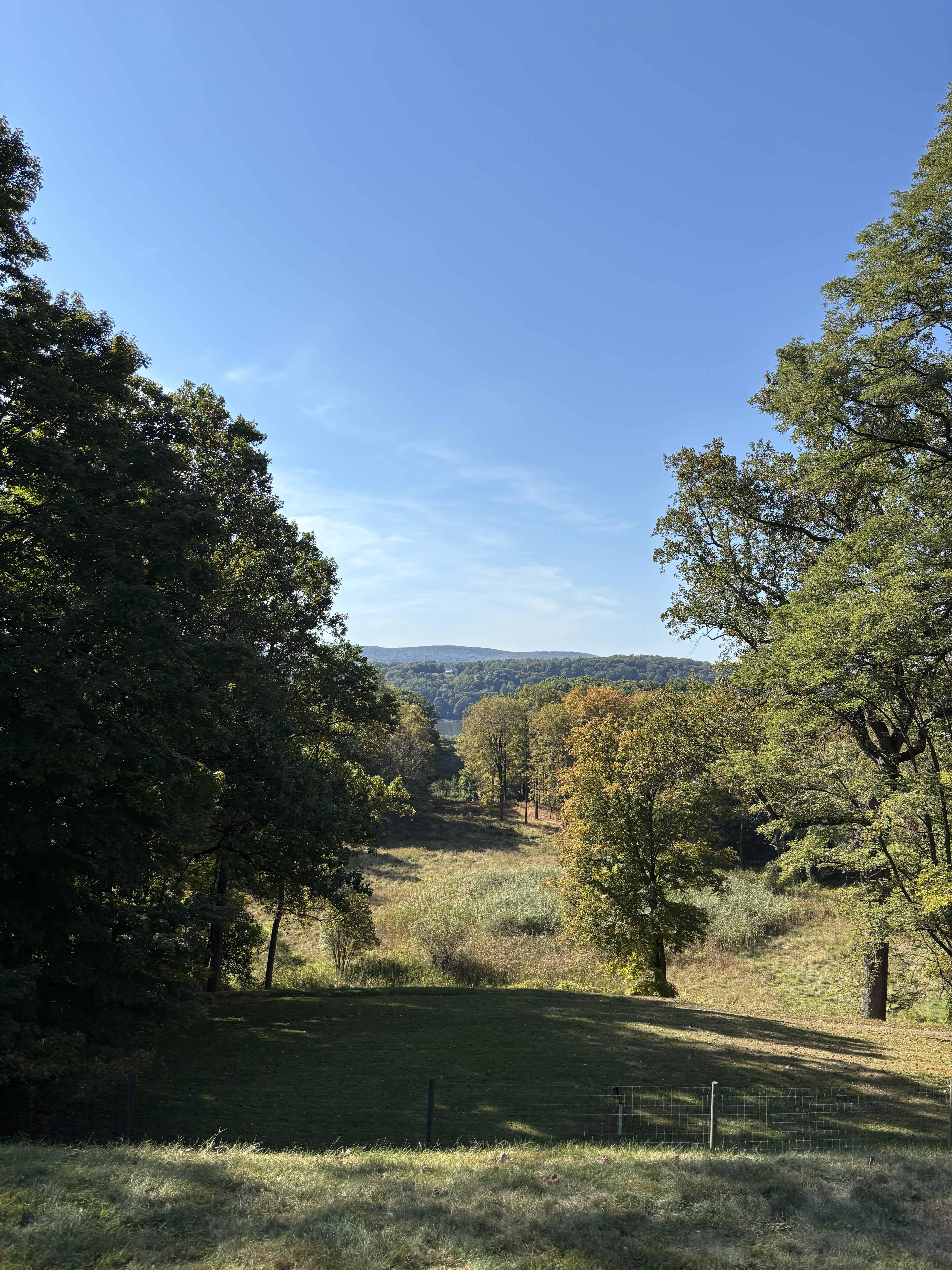 Locust Grove Grounds